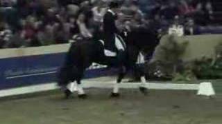 Friesian stallion Jasper 366 Dressage [upl. by Gower]