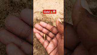 Gold huntshorts trending viralshort metaldetecting [upl. by Linehan]