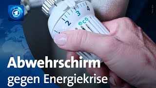 Energiepreispauschale und Heizkostenzuschuss Bundesrat billigt quotDoppelWummsquot [upl. by Dix]