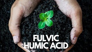 Fulvic Acid  The Miracle Supplement You Didnt Know You Needed fulvicacid humicacid [upl. by Siraj]