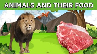 Animals and the Food They Eat  Omnivore Carnivore  Herbivore  Science Lessons  What Animals Eat [upl. by Nostaw284]