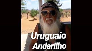 Uruguaio Andarilho Nas Estradas Alagoana [upl. by Orian]