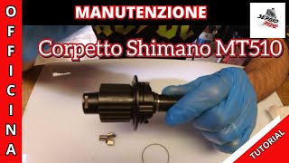 MANUTENZIONE CUSCINETTI E CORPETTO RUOTA LIBERA SHIMANO  Bici Tutorial [upl. by Clarissa]