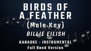 BIRDS OF A FEATHER  MALE KEY  FULL BAND KARAOKE  INSTRUMENTAL  BILLIE EILISH [upl. by Chambers45]