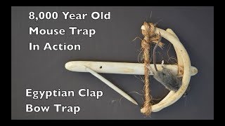 8000 Year Old Style Mouse Trap The Egyptian Clap Bow Trap In Action [upl. by Annamaria]