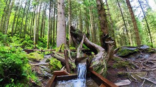 Echos im Wald  Flöte Meditation🎵 Wassergeräusche💦 Heilende Musik Natur Schlafmusik 4K ASMR [upl. by Doy]