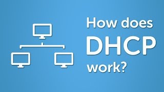 DHCP Explained  Step by Step [upl. by Norrat]