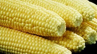 How to Boil Corn on the Cob Cooking with Kimberly [upl. by Faline]