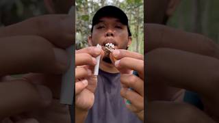 The guy shows SURVIVAL skills in the forest 🔥 camping survival bushcraft outdoors [upl. by Nodyarg212]