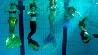 Seven Mermaids Meet  Mermaid Tails in Pool  Stella the Siren [upl. by Tatiania]