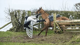 😲 De Ergste Paardrijd Fails En Paarden Bloopers Grappige Paarden Filmpjes 😲 [upl. by Annatsirhc]