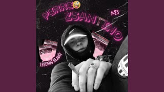 PERREO ZSANTINO [upl. by Sanson]