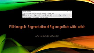 FIJI ImageJ Segmentation of Big Image Data with Labkit [upl. by Eceerahs602]