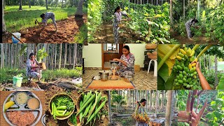 அவகேடோ🥑 இரம்புட்டான் 🌽சோள சந்தவைனு ஒரு புது விதமான அனுபவம்Vegetable harvsetingplanting new trees [upl. by Melcher24]