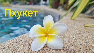 Пхукет Тайланд Первые впечатления от страны пляжа отеля Пляж КаронPhuket Orchid Resort and Spa [upl. by Lauber]