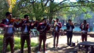 Mariachi Los Palmeros En Camecuaro Michoacan Las Estacas [upl. by Nednal]