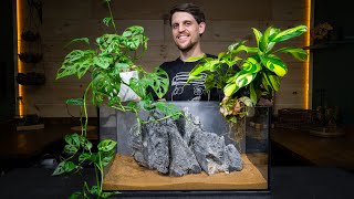 Definitive Guide to Growing Houseplants in an Aquarium [upl. by Brandon]