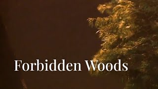 Forbidden Wood  Halloween Story scarystory forbiddenwest tom [upl. by Sculley498]