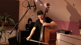 Dittersdorf — Concerto No 2 Mov 1 Played by Bogusław Furtok Double Bass [upl. by Christy]