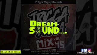 Trigga Happy Sound  Trigga Digga Mix 45 Mix 2018 Ft Bounty Killer Terry Ganzie Pinchers [upl. by Jacobba]