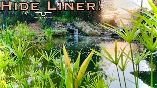 How to Hide Exposed Pond Liner Edges DIY Natural Swimming Pond Vid 10 [upl. by Platt]