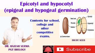 Epicotyl and hypocotyl epigeal and hypogeal germination [upl. by Nollad]