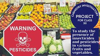 Insecticides and pesticides in various fruits and vegetables  chemistryproject chemistryclass12 [upl. by Oliva]