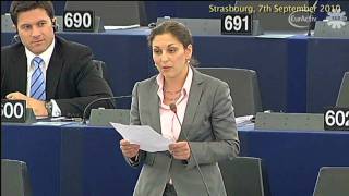 Strasbourg hosts heated EU debate on Roma expulsion [upl. by Ahsinan]