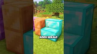 Block Paling ILLEGAL Di Minecraft [upl. by Atillertse]