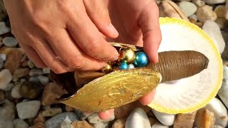 Mutated goldenshelled geoduck covered with golden pearls [upl. by Ezar]