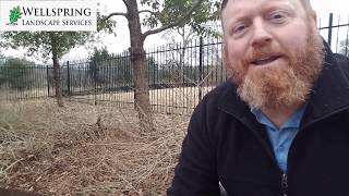 How To Prune Lantana In The Winter [upl. by Sky]