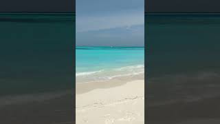 Beautiful island Maldives  shot  beach  resort  island  viral shorts  trending  travel [upl. by Raynell]