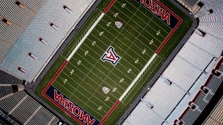 ACCEPTED  University of Arizona Honors College Application [upl. by Braynard]