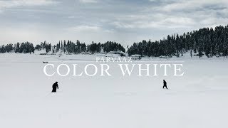 Parvaaz  Color White Official Video [upl. by Carol-Jean215]