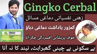 ginkgo cerbal tonic homeopathic ginkgo biloba medicine benefits by Dr Sherazi Homeopathic [upl. by Mufi]