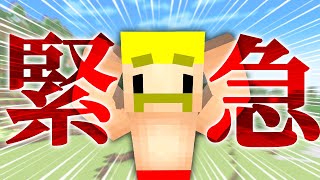 【緊急】最近の動画は濃すぎる！このままではヤバい！【マイクラ】 [upl. by Kristien952]