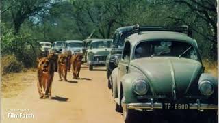 Kruger National Park History [upl. by Barnabe]