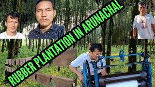 HOW  RUBBER IS MADE FROM TREES  ARUNACHAL PRADESH  DEBING VILLAGE [upl. by Niroht]