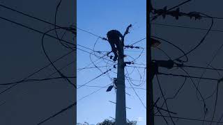 Lineman working time funnyvideo viralreelsfb transformers Lineman linemanlife [upl. by Ecerahc]