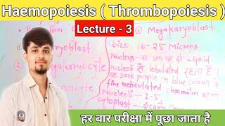 haemopoiesis notes  thrombopoiesis in hindi  thrombopoiesis notes thrombocytes [upl. by Nilyad]