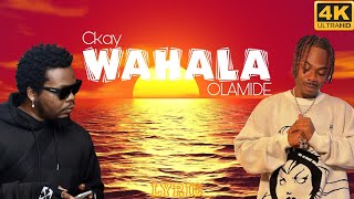 Ckay  Wahala x Olamide OFFICIAL LYRIC [upl. by Accever84]