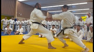 Rick Hotton sensei Thats the Feeling France 2023 [upl. by Sioux]