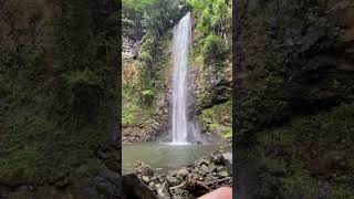 Kauai Secret Waterfall Kayak and Hike kauai hawaii travel vacation [upl. by Nyrrek]