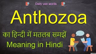 Anthozoa meaning in Hindi  Anthozoa meaning  Anthozoa synonym  Anthozoa Example [upl. by Eyde]