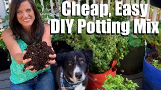 How to Make DIY Easy Cheap Organic Potting Soil with 4 Ingredients Container Garden Series 2 [upl. by Filippo]