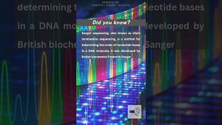 Sanger Sequencing simplified [upl. by Llennyl843]