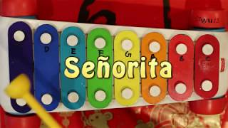 How to play Señorita on a Fisher Price Toy Xylophone  wu23 music [upl. by Aiseneg560]