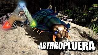 Taming A Arthropluera  Ark Survival Evolved  The Island [upl. by Ahsilak952]