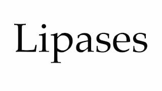 How to Pronounce Lipases [upl. by Aihsenak]