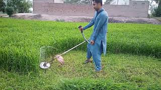 Grass cutting very fast by grass cutterbrush cutter 918950084431 भारतIndia [upl. by Astra]